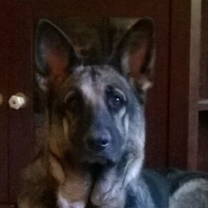 Meet your Posher, Kelly